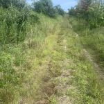 Hidden Path To McGuire Fields