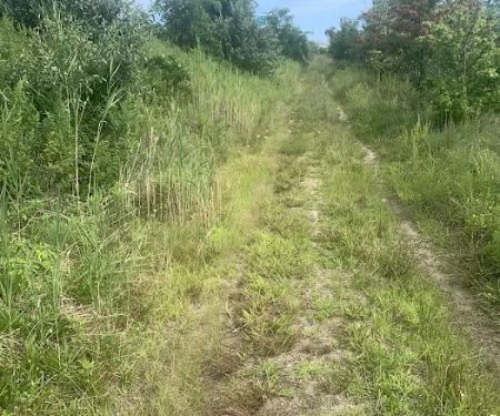 Hidden Path To McGuire Fields