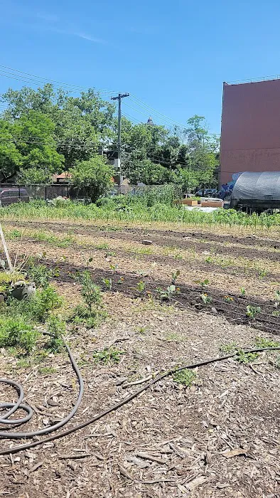 Fresh Farm Picture 1