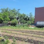 Fresh Farm