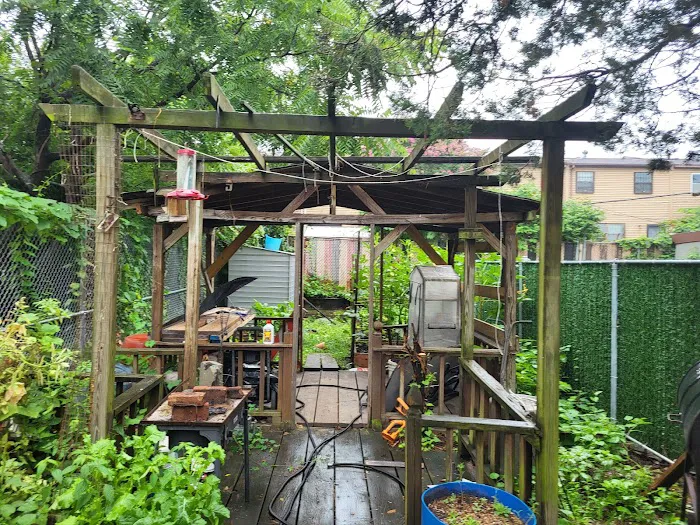 Victory Garden Picture 2