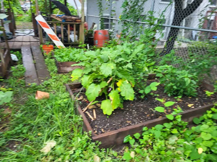 Victory Garden Picture 1