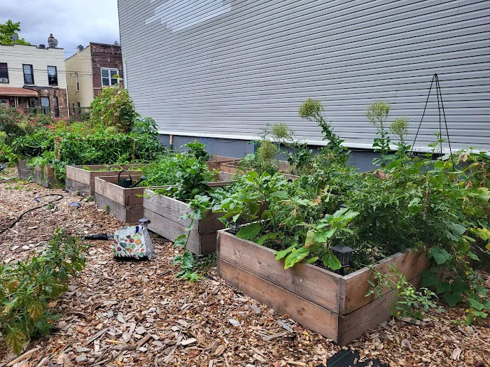 Cleveland Street Vegetable Garden Picture 1