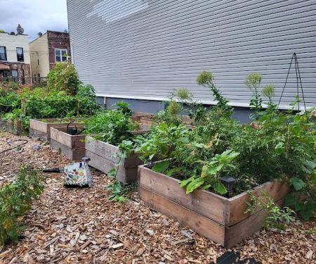 Cleveland Street Vegetable Garden