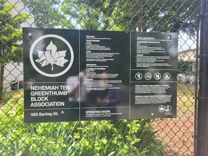 Nehemiah Ten Community Garden Picture 1