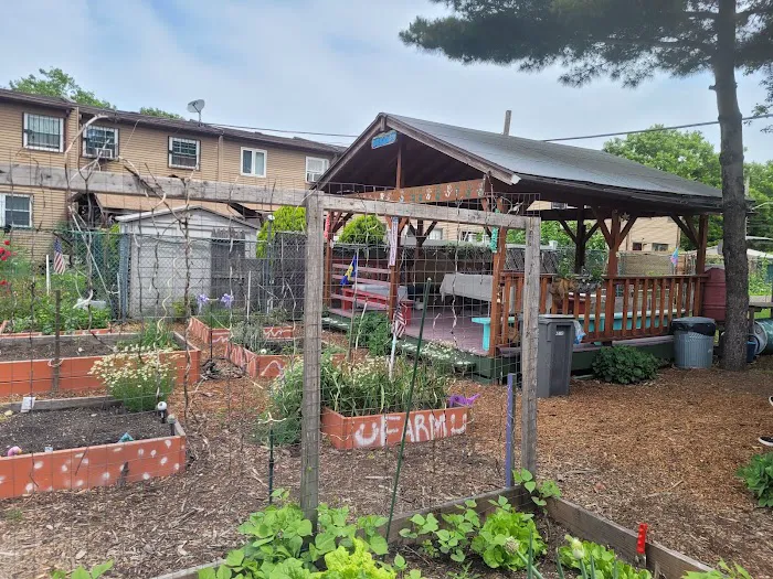 Nehemiah Ten Community Garden Picture 4
