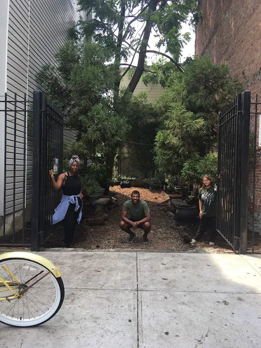 Hendrix Street Community Garden Picture 3
