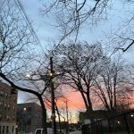 Martin Luther King Jr. Playground