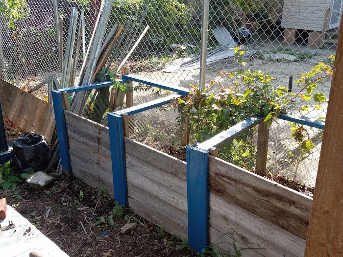 Ashford Street Abundant Garden Picture 4