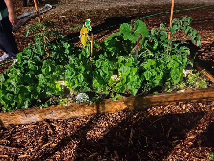 Jerome Glenmore Corner Stone Community Garden Picture 6