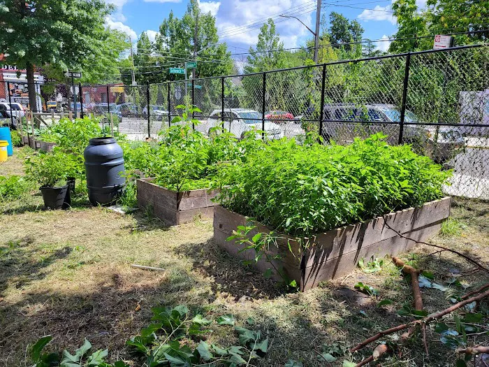 Clara's Garden Picture 5