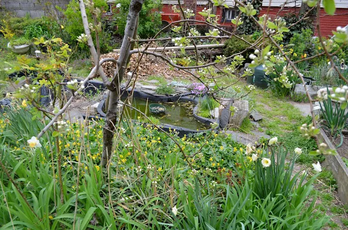 Gregory's Garden (East New York 4 Garden Inc) Picture 1