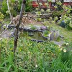 Gregory's Garden (East New York 4 Garden Inc)