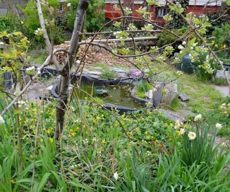 Gregory's Garden (East New York 4 Garden Inc)