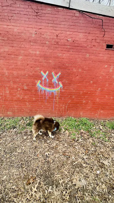 Dog Park Picture 10
