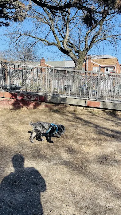 Dog Park Picture 8