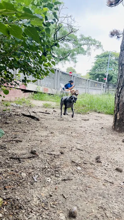 Dog Park Picture 3