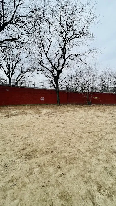 Dog Park Picture 7