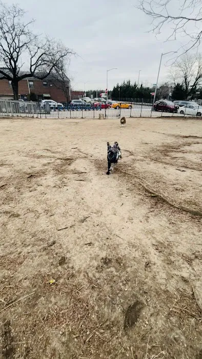 Dog Park Picture 1