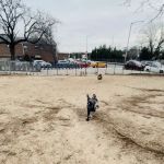 Dog Park