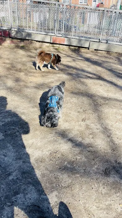 Dog Park Picture 9