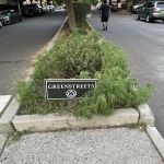 Greenstreets