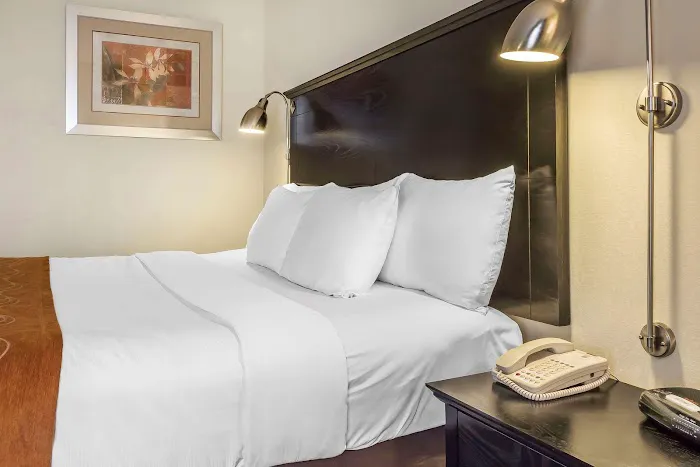 Comfort Inn & Suites LaGuardia Airport Picture 10