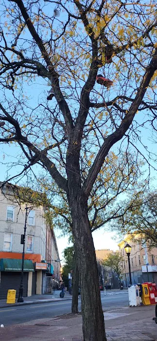 Ridgewood Veterans Triangle Picture 5