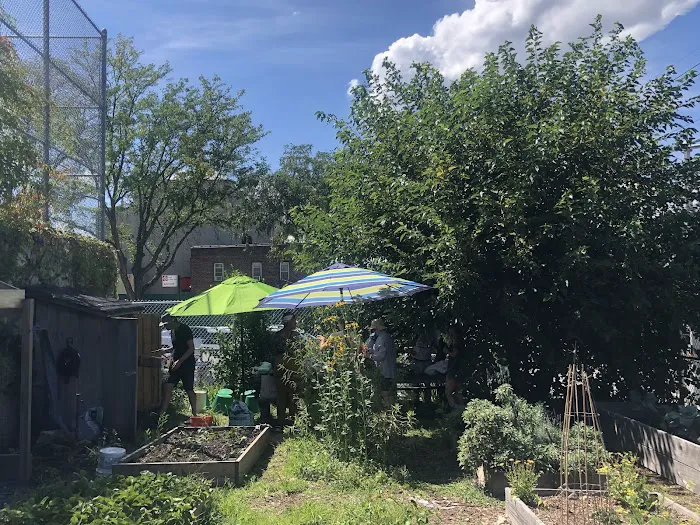 Ridgewood Community Garden Picture 7