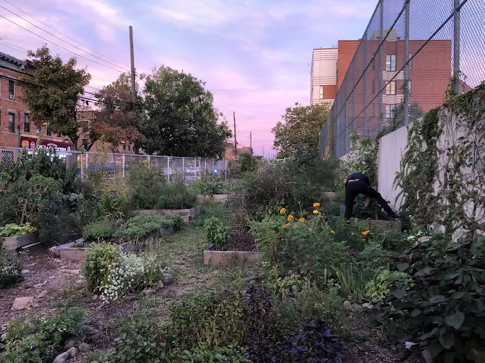 Ridgewood Community Garden Picture 4