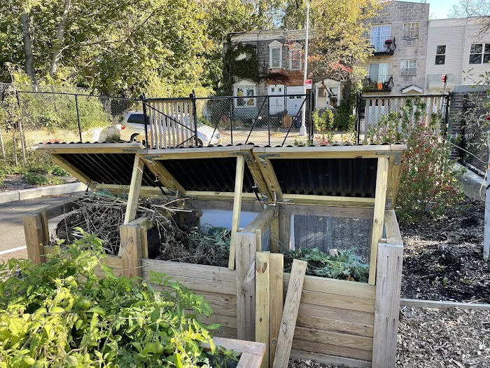 Aberdeen Street Community Garden Picture 4