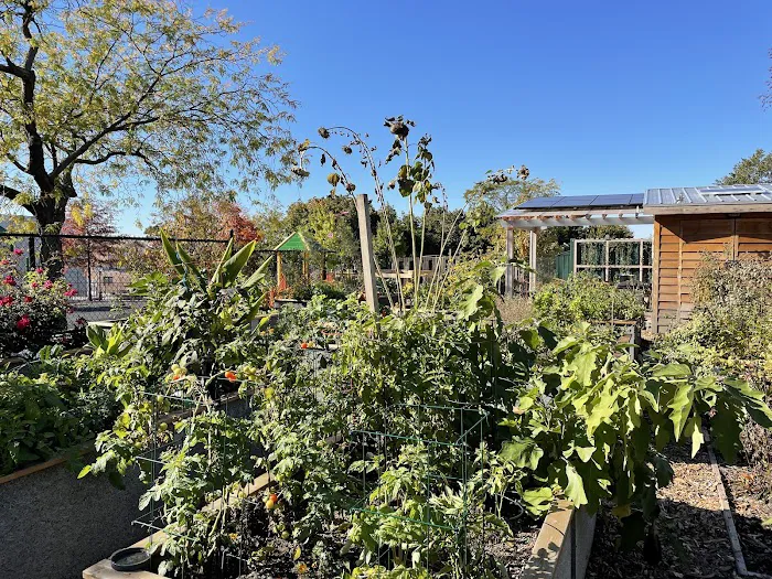 Aberdeen Street Community Garden Picture 3