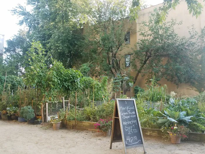 Granite Street Community Garden Picture 2