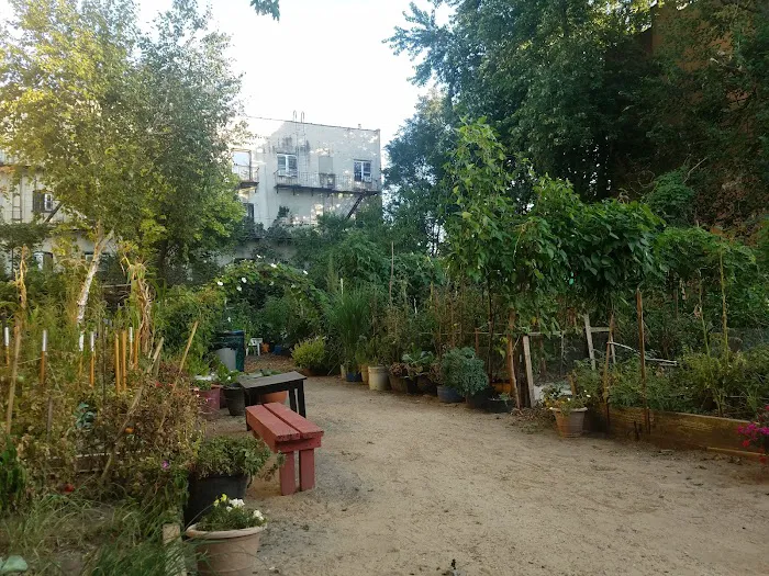 Granite Street Community Garden Picture 3