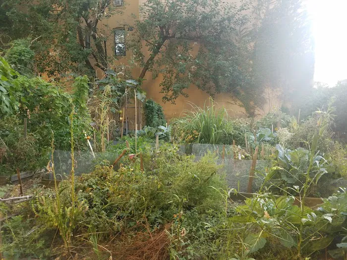 Granite Street Community Garden Picture 1