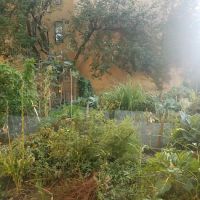 Granite Street Community Garden ico