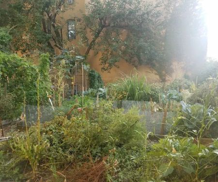 Granite Street Community Garden