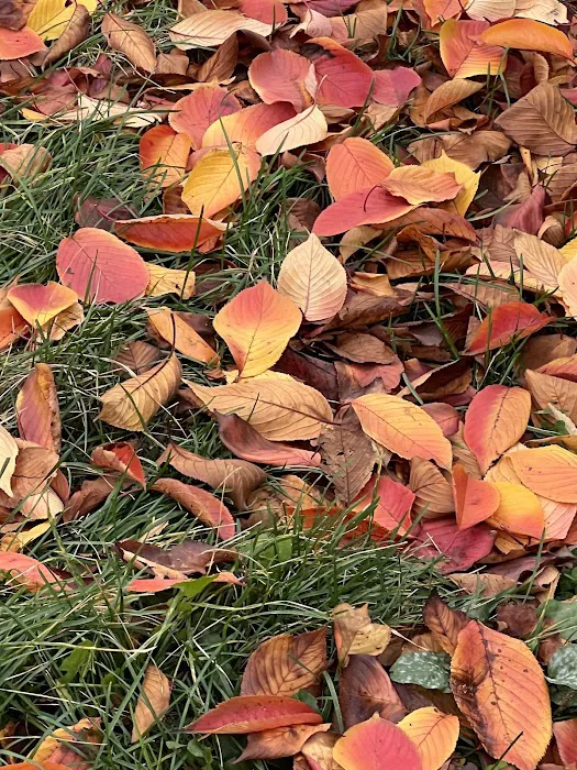 Escape To Nature Picture 4
