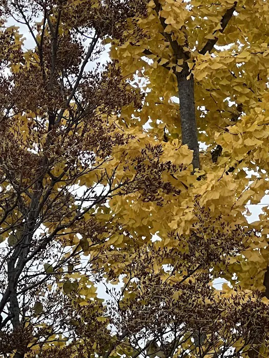 Escape To Nature Picture 8