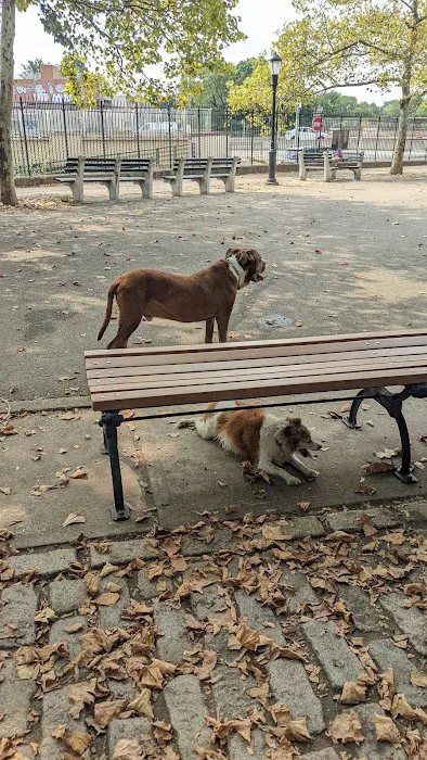 Sherry Dog Run Picture 9
