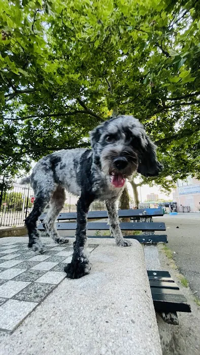 Sherry Dog Run Picture 7