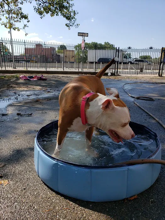 Sherry Dog Run Picture 2