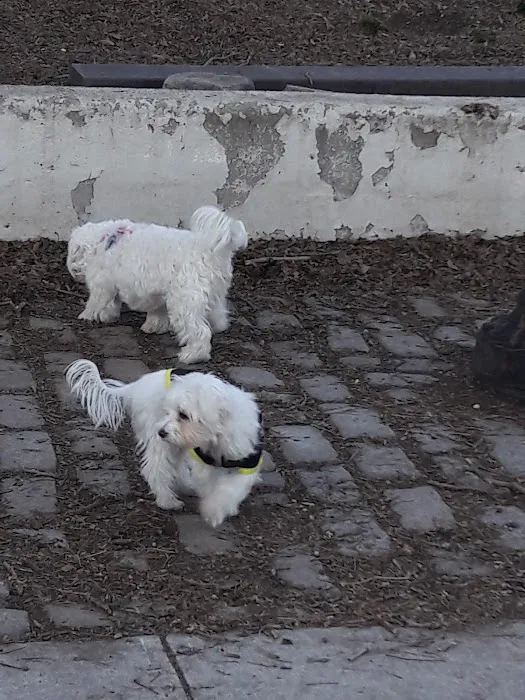 Sherry Dog Run Picture 1