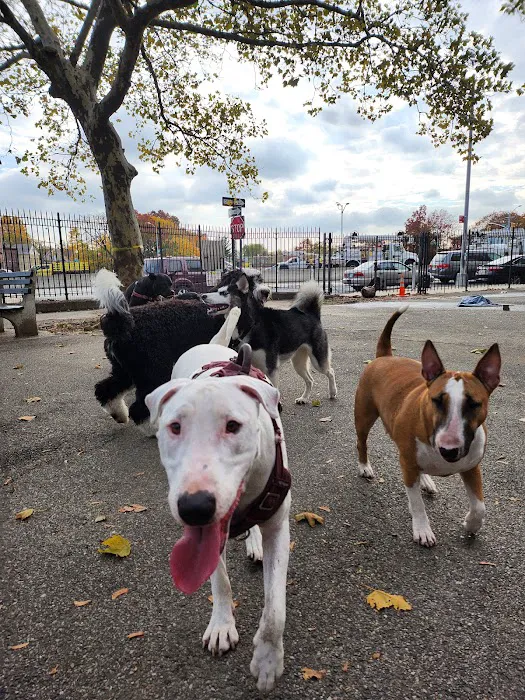 Sherry Dog Run Picture 8