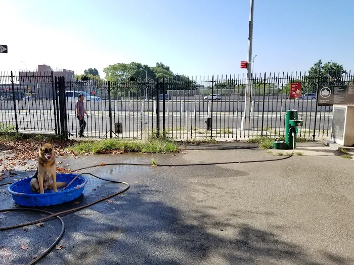 Sherry Dog Run Picture 4
