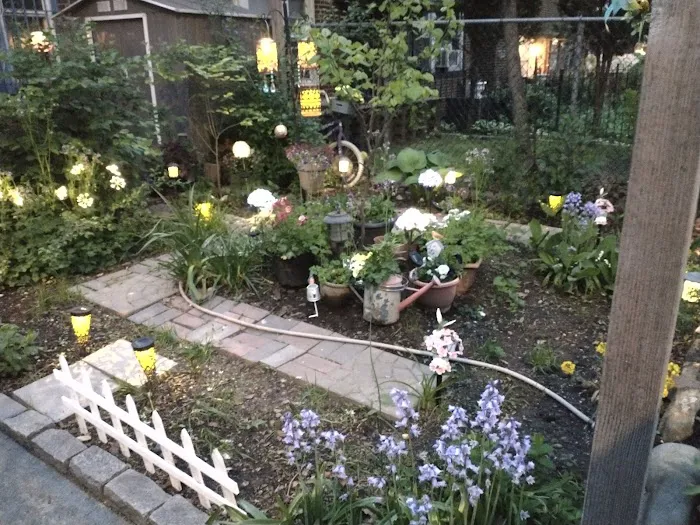 Vacation Rental Jackson Heights NYC Picture 5
