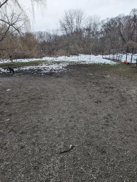 Harrison Park Picture 6
