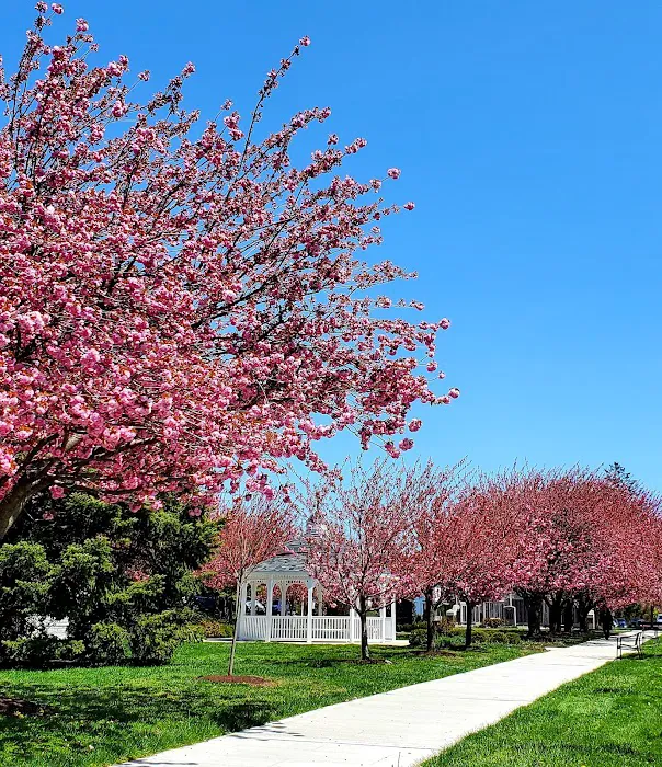 Riis Park Picture 1