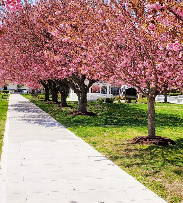 Riis Park Picture 4