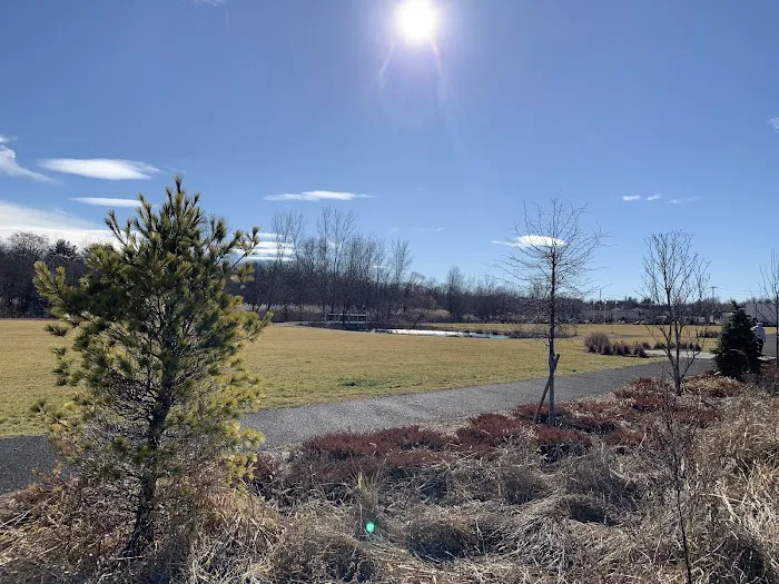 Malfitano Park Picture 1